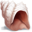 seashell.png