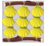 Color_shell_curtain.PNG